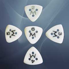 Moustache Triangular Picks